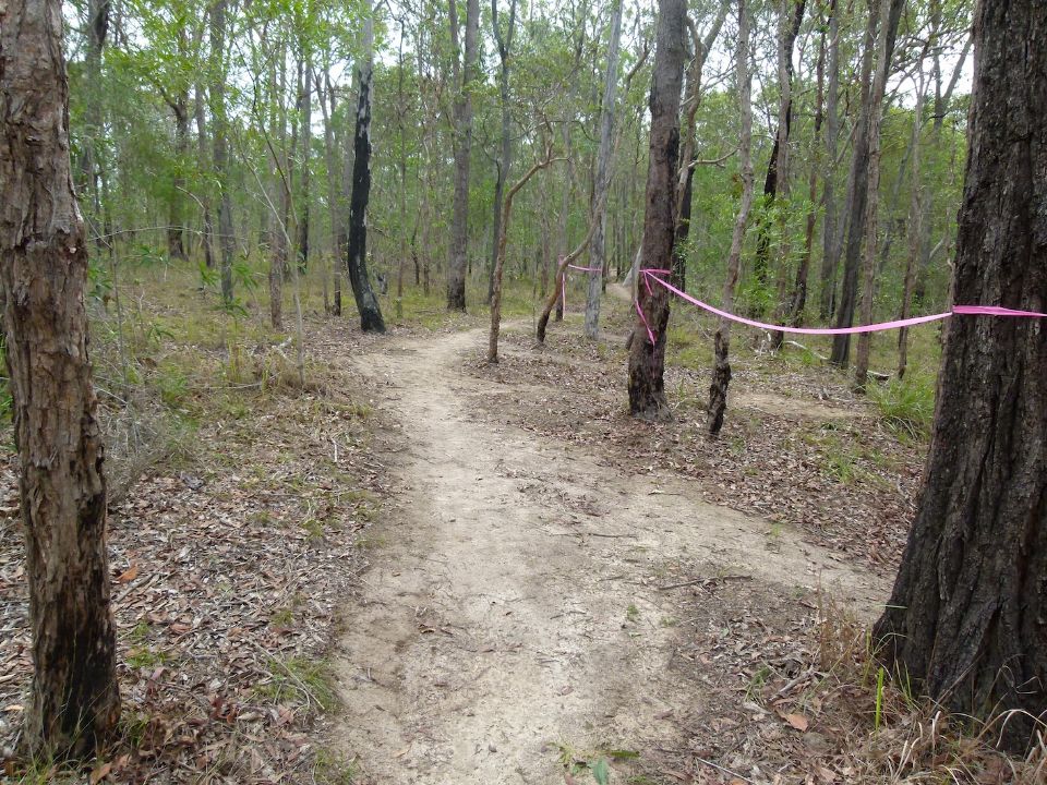 P1150841.jpg