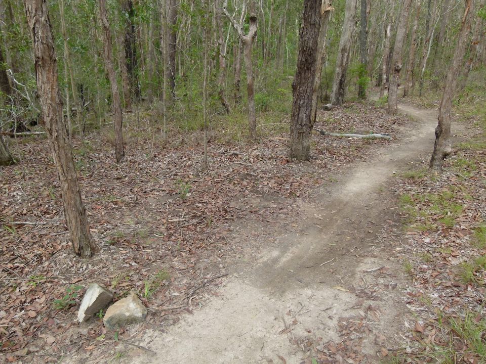 P1150844.jpg
