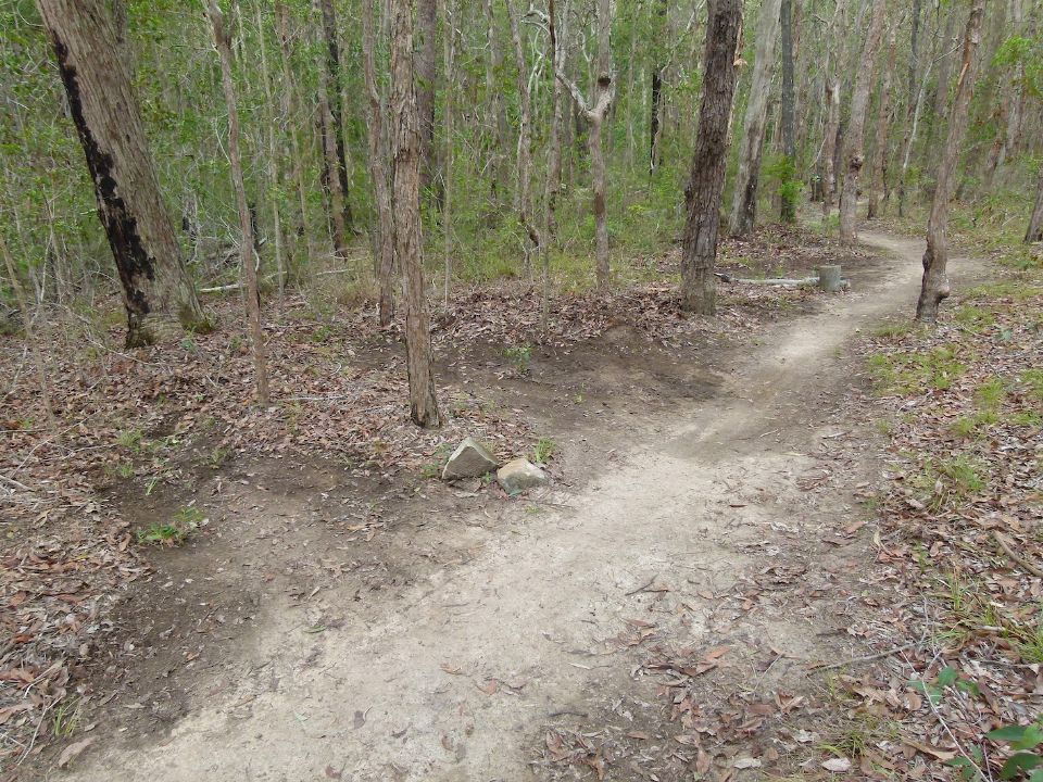 P1150846.jpg