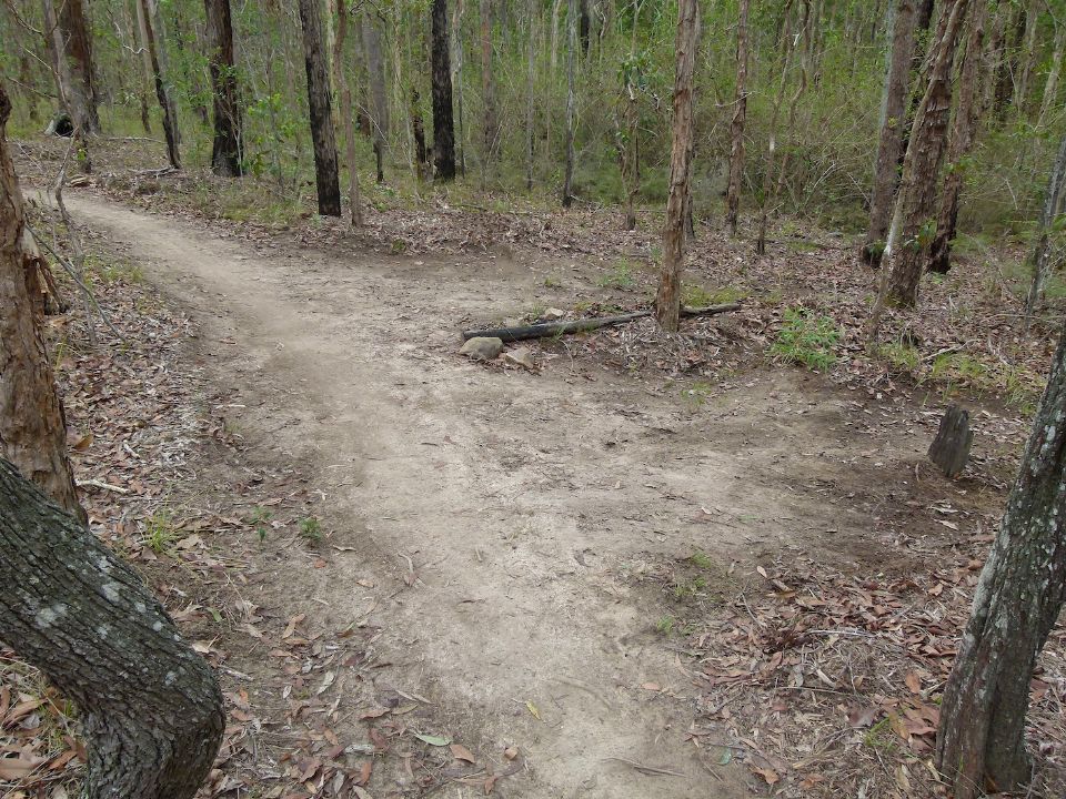 P1150847.jpg