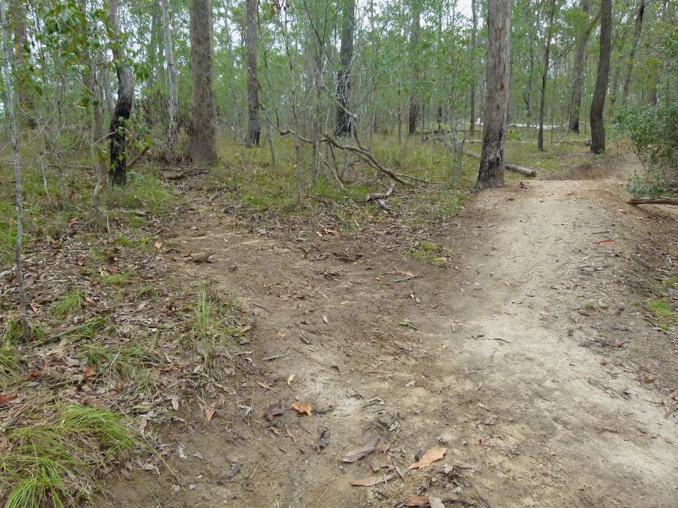 P1150850.jpg