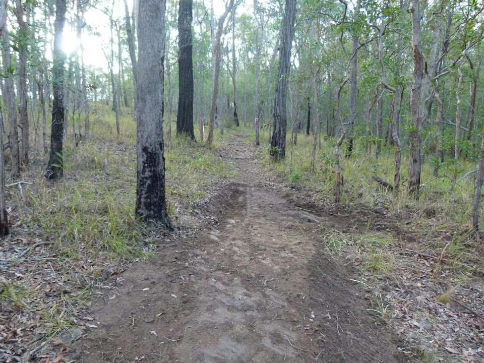 P1150852.jpg