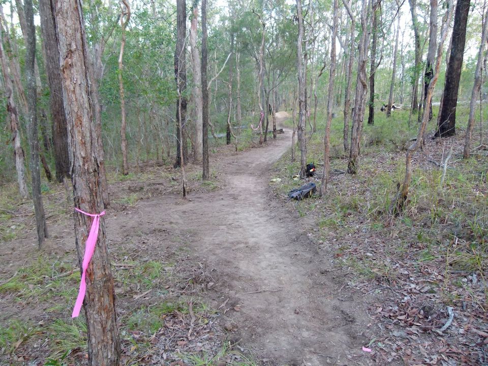 P1150854.jpg