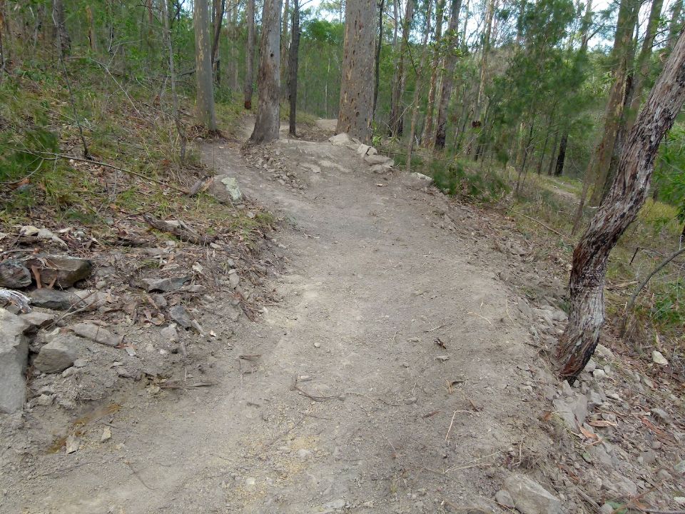 P1150869.jpg