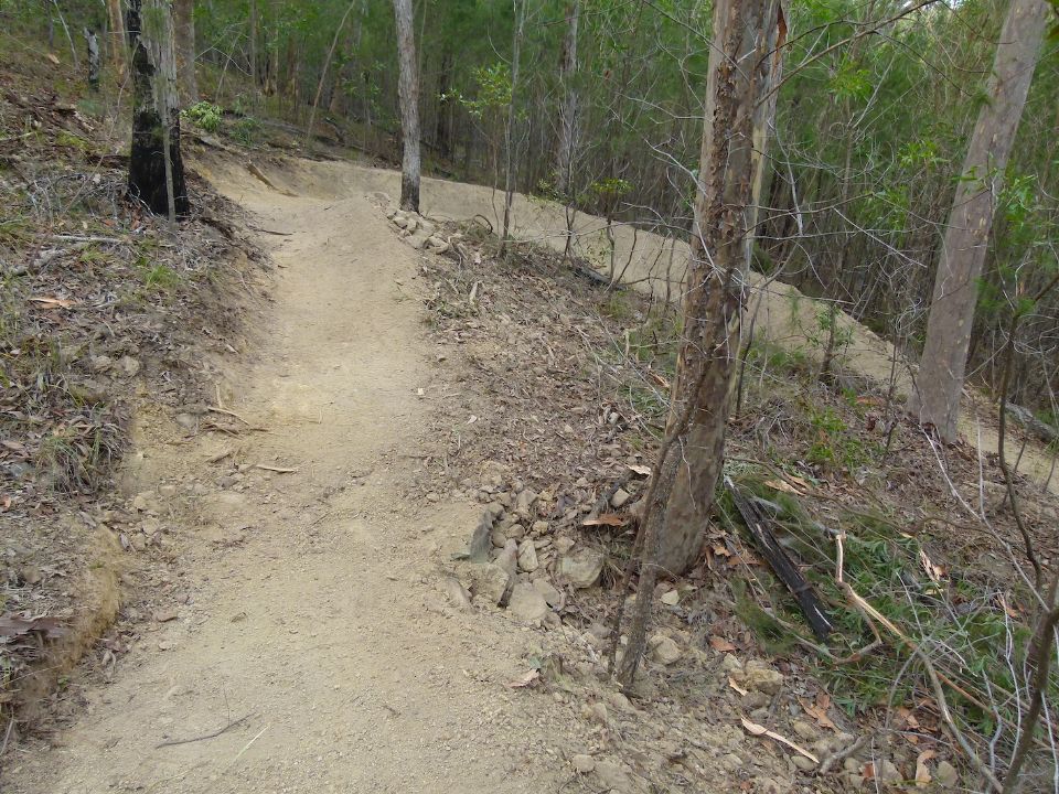 P1150872.jpg