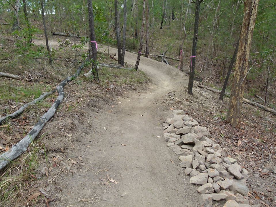 P1150955.jpg