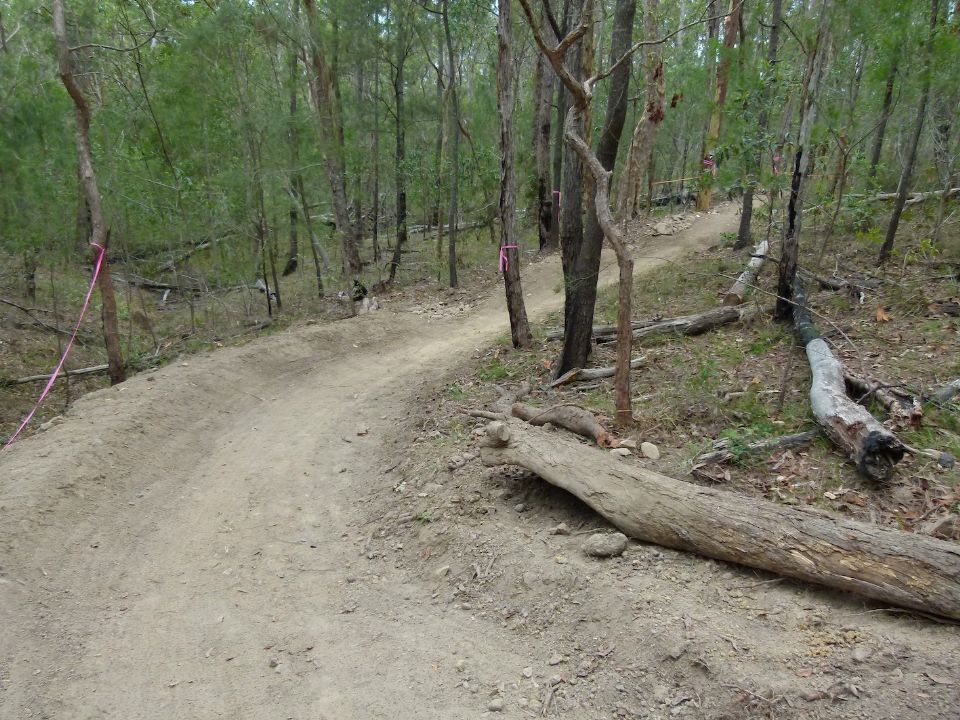 P1150958.jpg