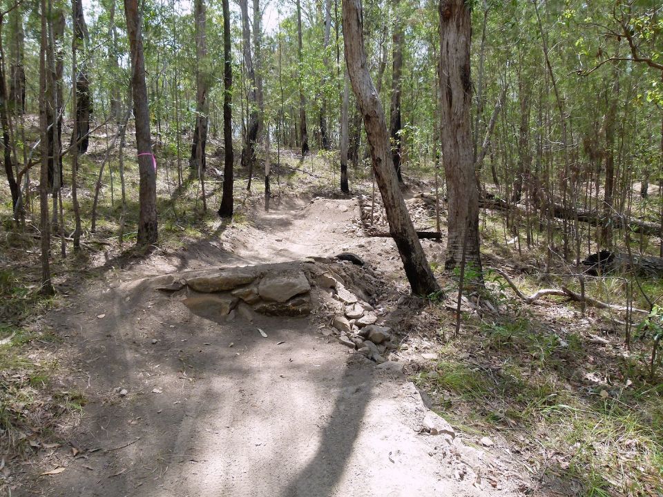 P1160007.jpg