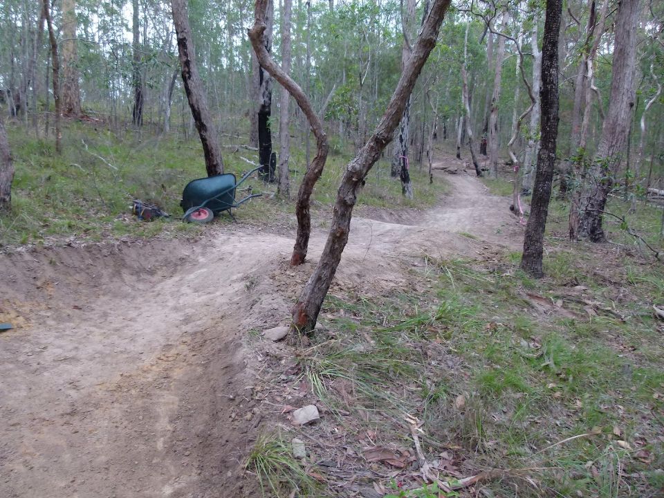P1160017.jpg