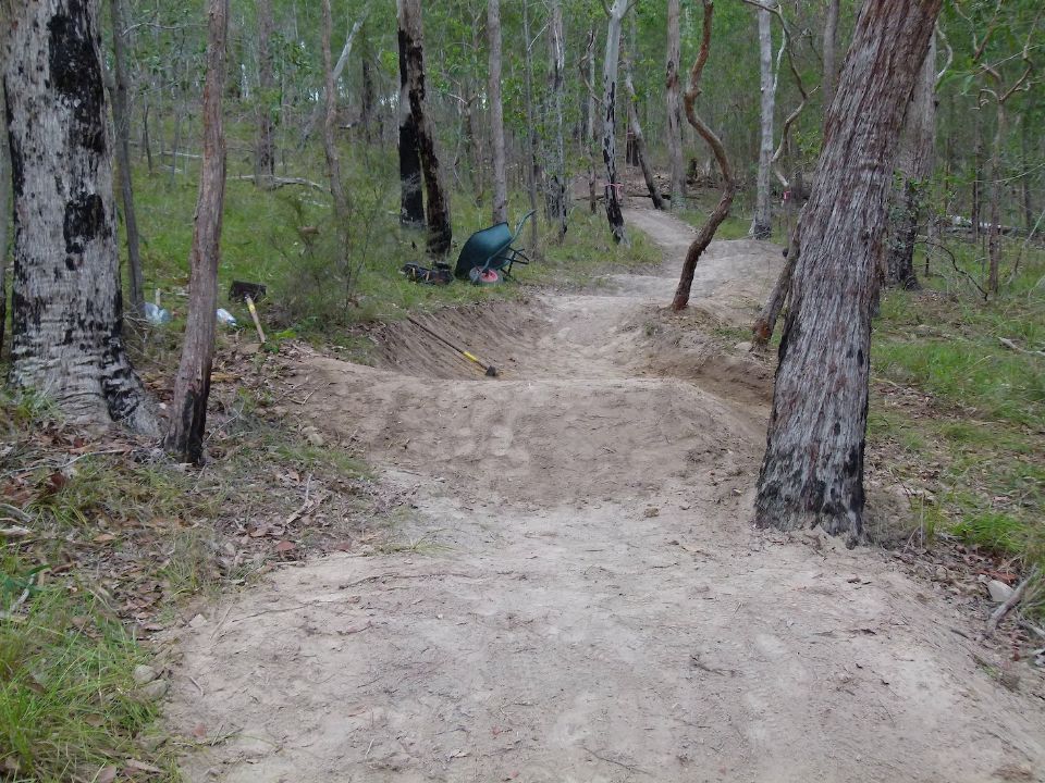 P1160019.jpg