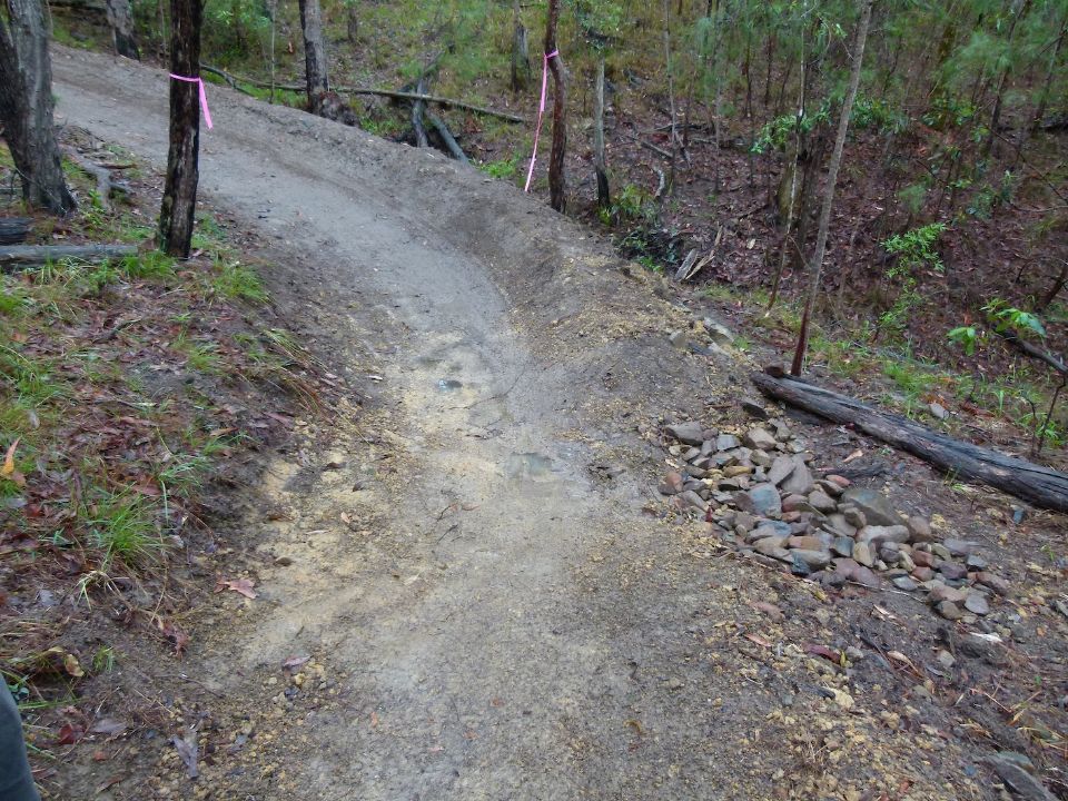 P1160028.jpg