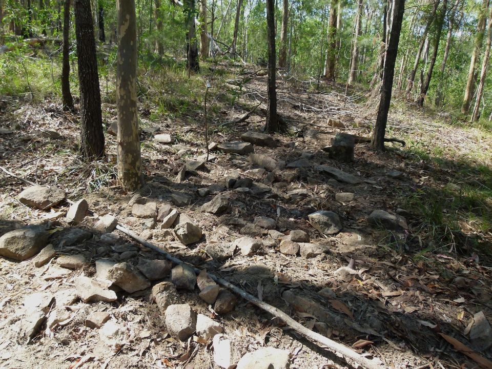 P1160178.jpg