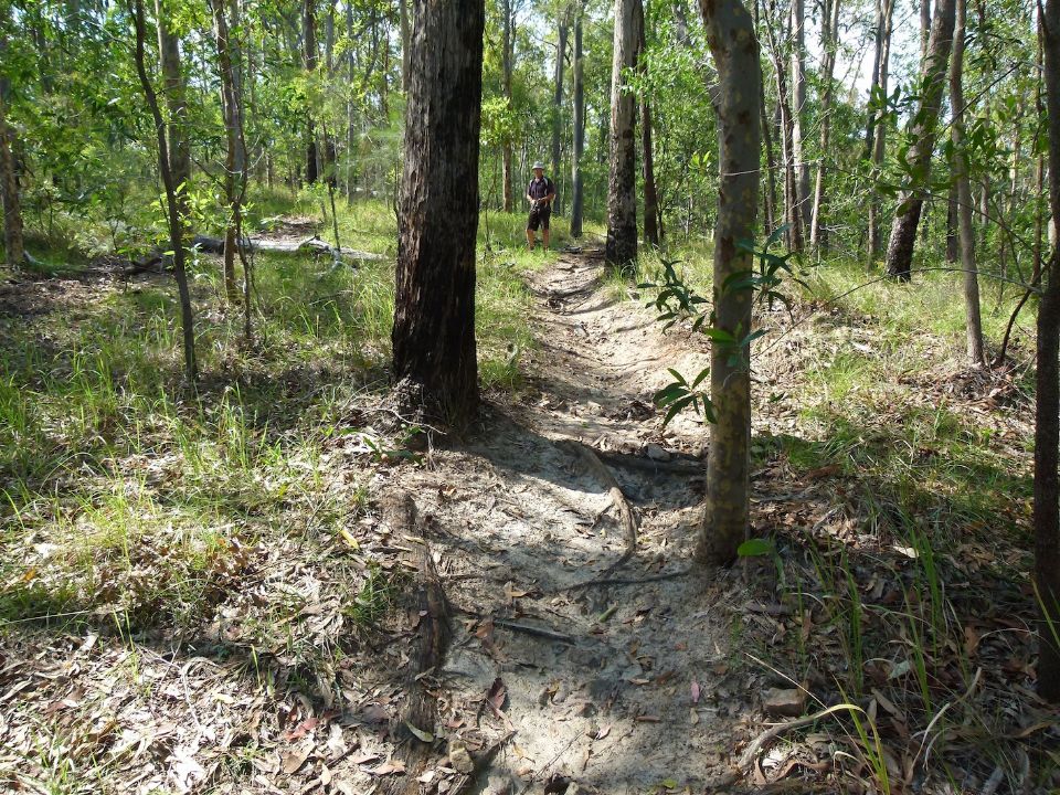 P1160180.jpg
