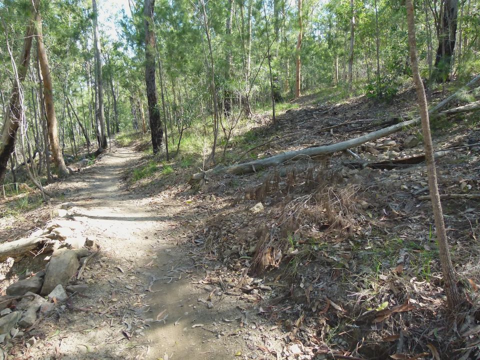 P1160194.jpg
