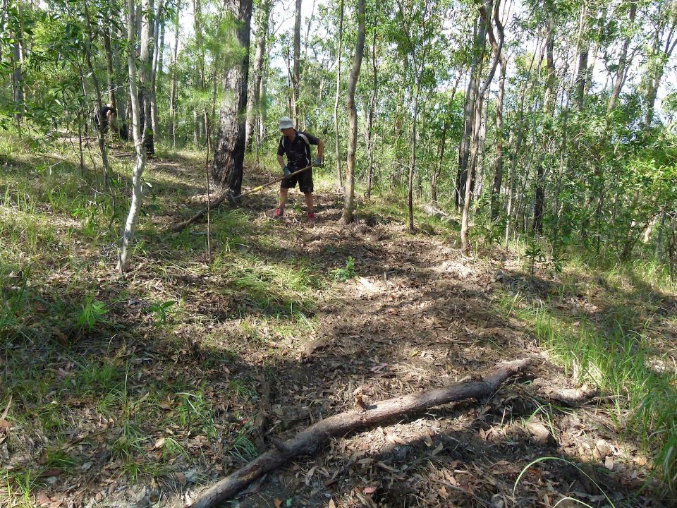 P1160201.jpg