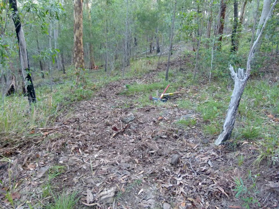P1160204.jpg