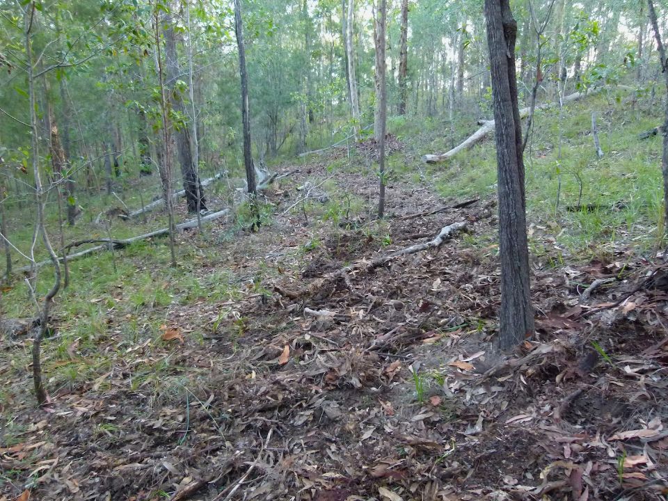P1160205.jpg