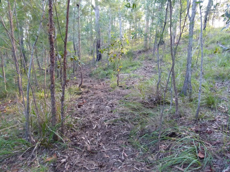 P1160209.jpg