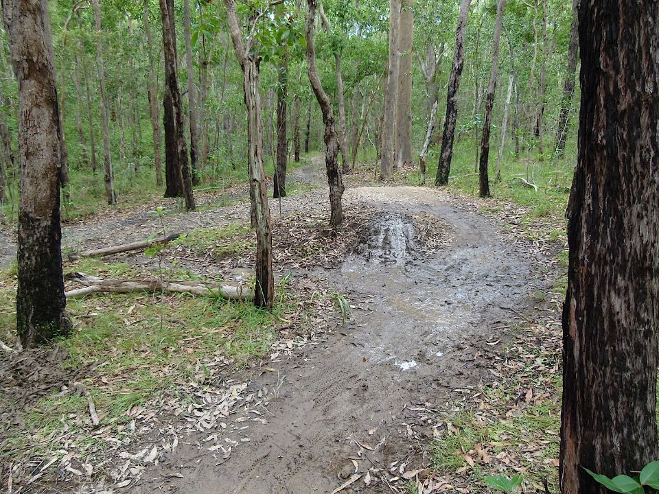P1160301.jpg