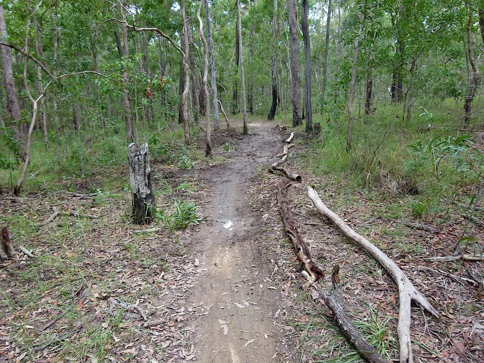 P1160304.jpg