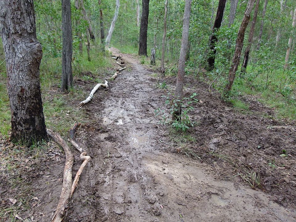 P1160305.jpg