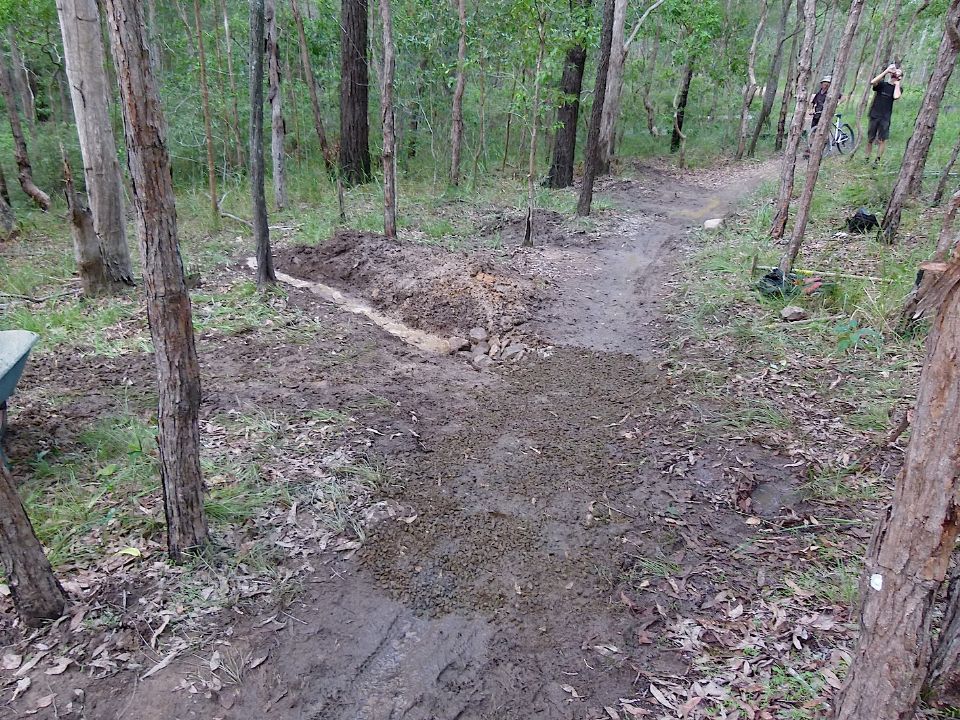 P1160310.jpg