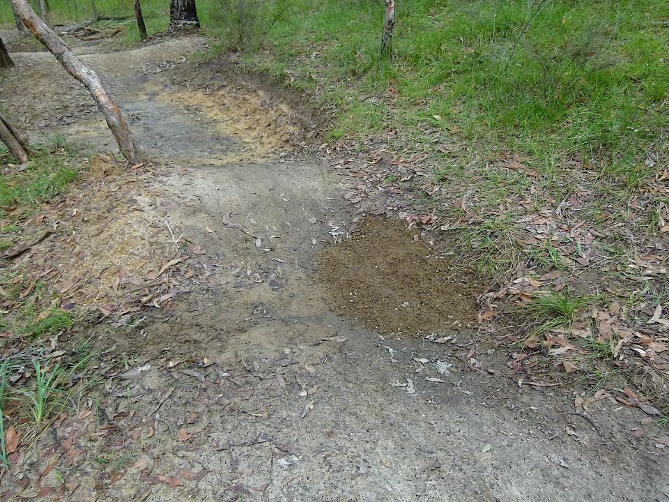 P1160311.jpg