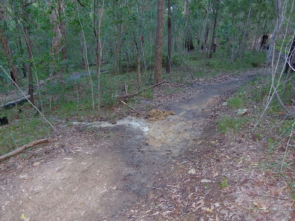 P1160317.jpg