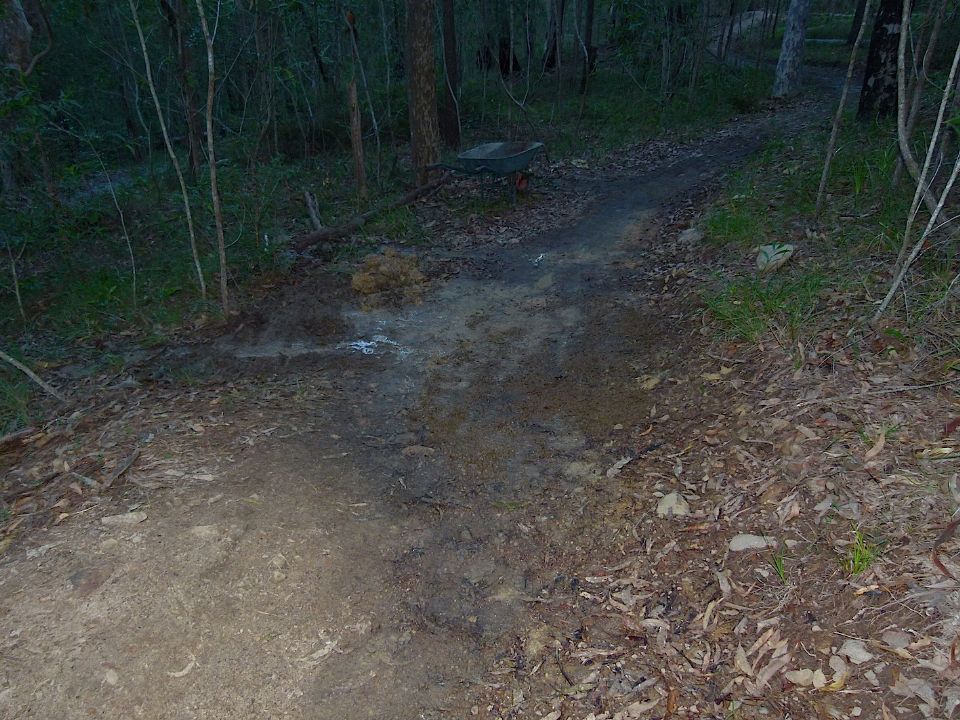 P1160321.jpg