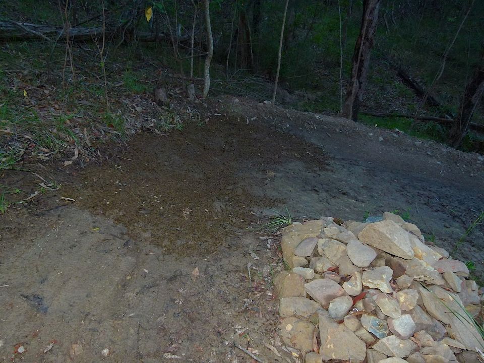 P1160322.jpg