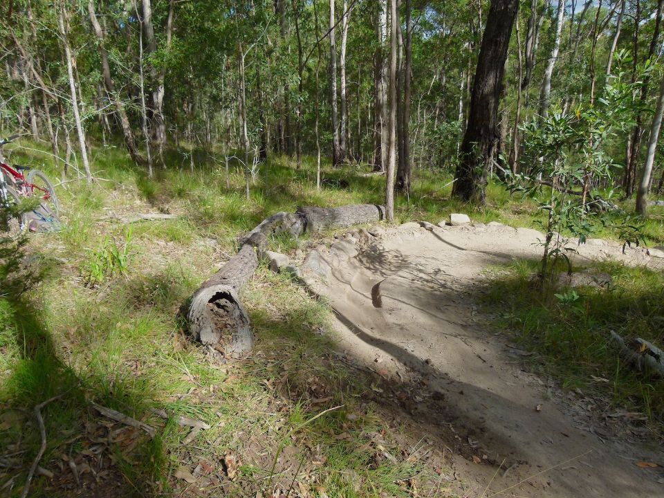 P1160449.jpg
