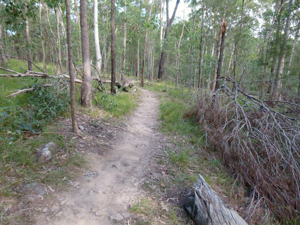 P1160452.jpg