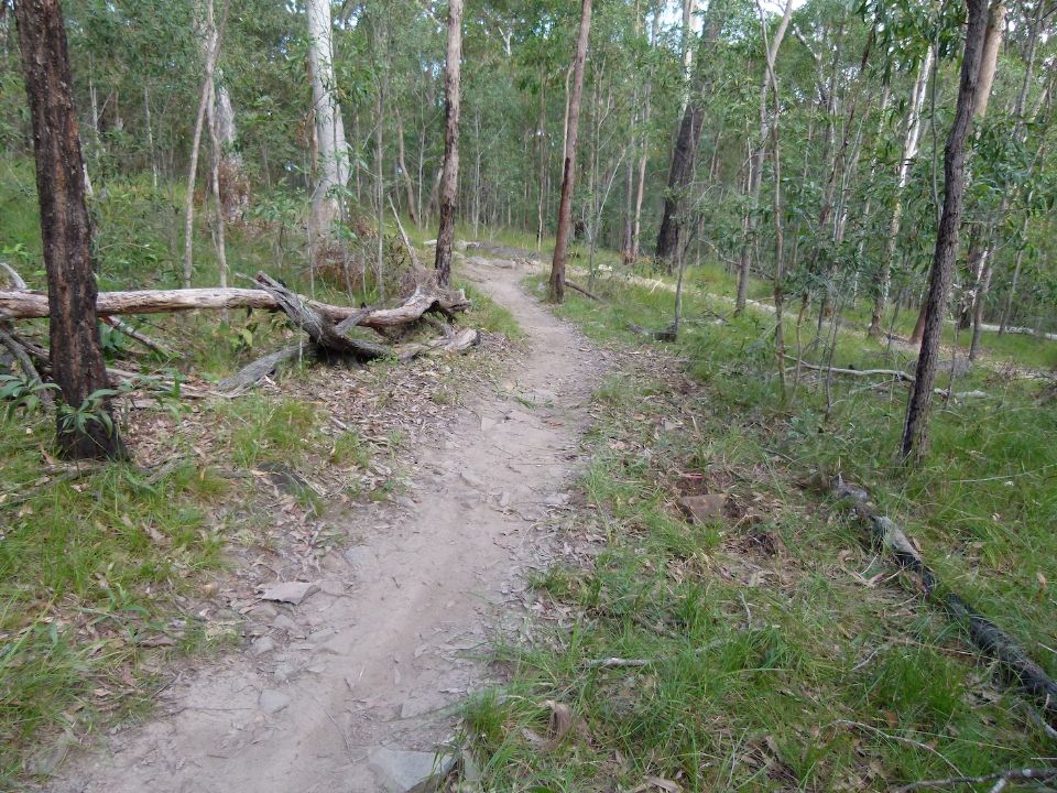 P1160453.jpg