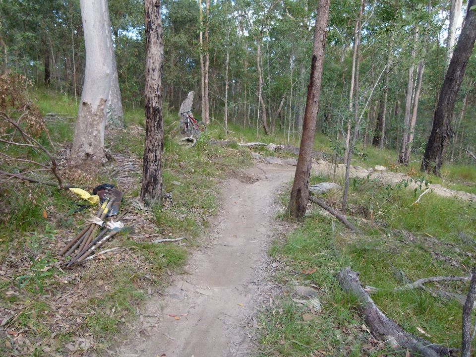 P1160454.jpg