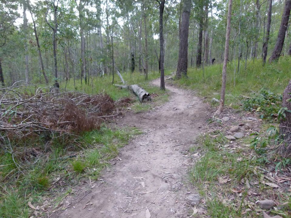 P1160456.jpg
