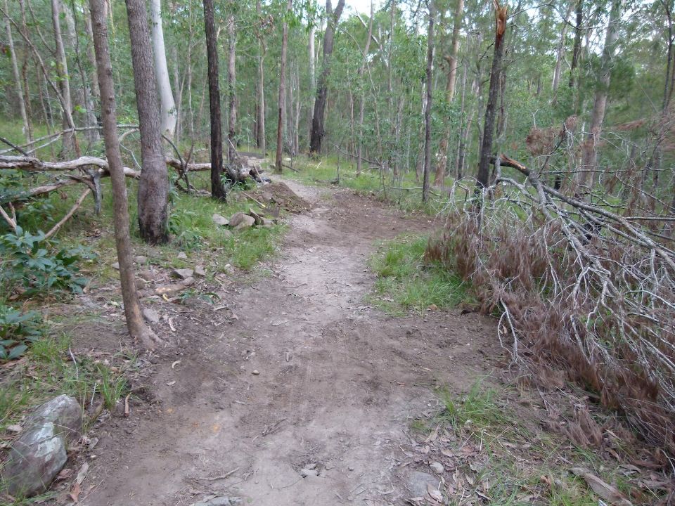 P1160457.jpg