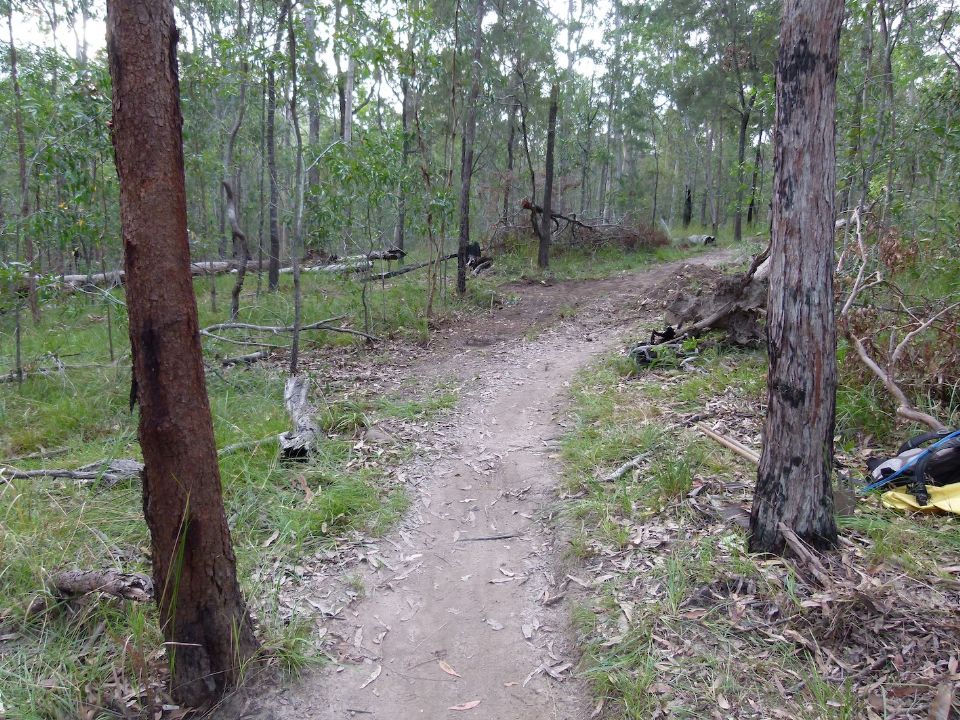 P1160460.jpg