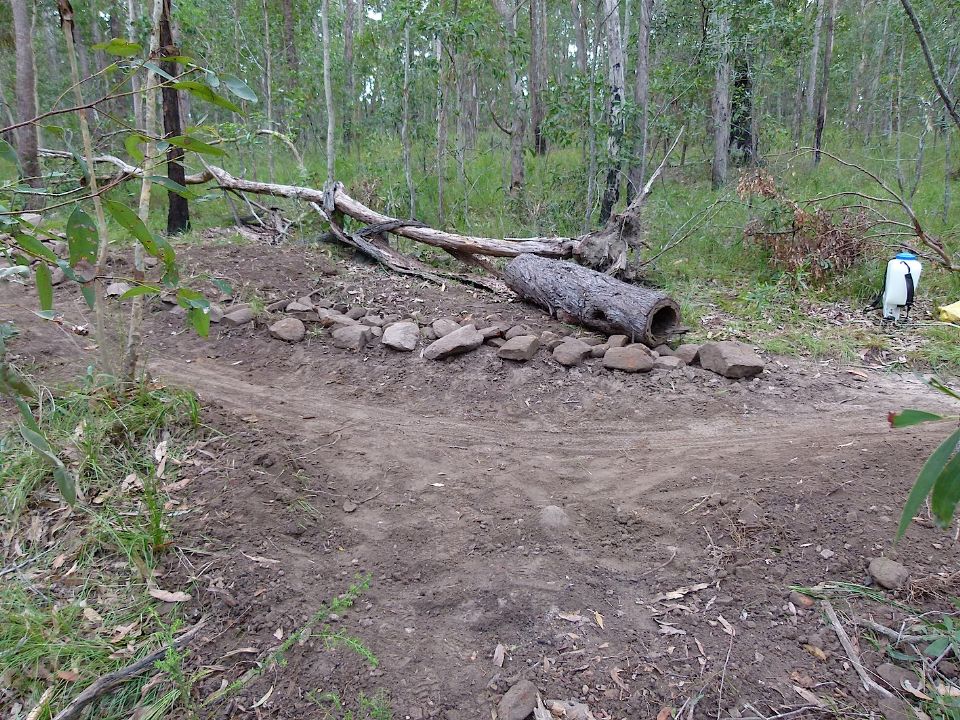 P1160474.jpg