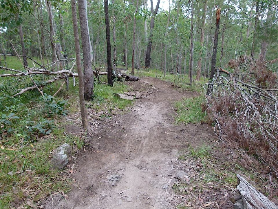 P1160476.jpg