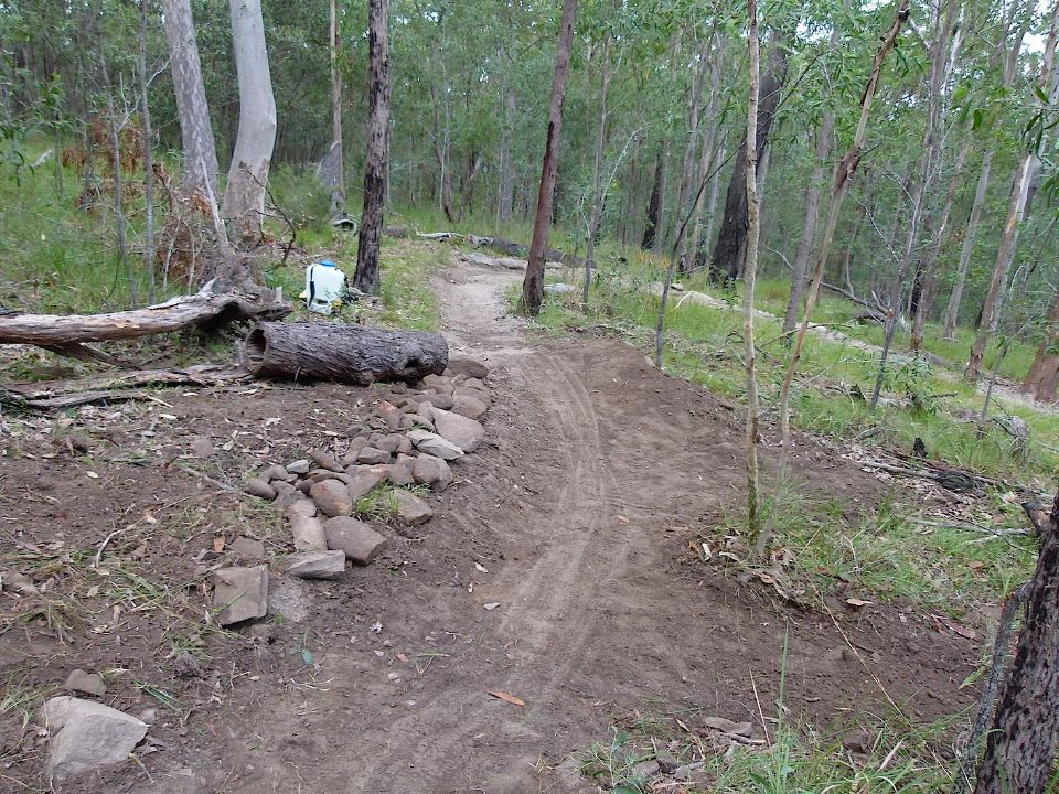 P1160478.jpg