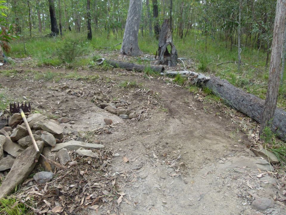 P1160481.jpg