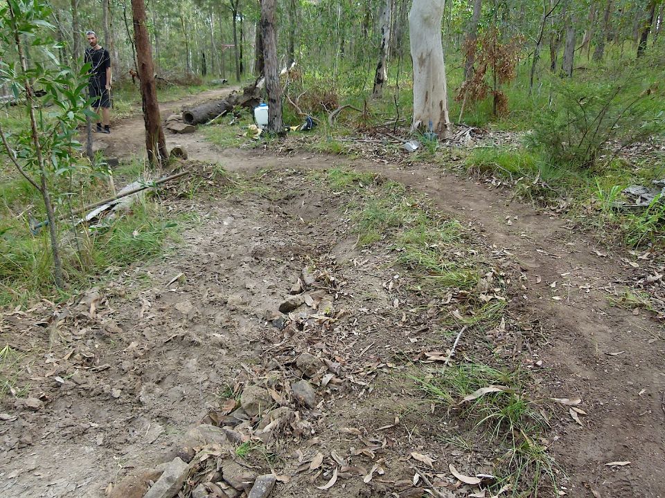 P1160482.jpg