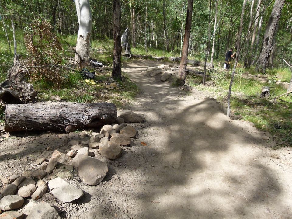 P1160487.jpg