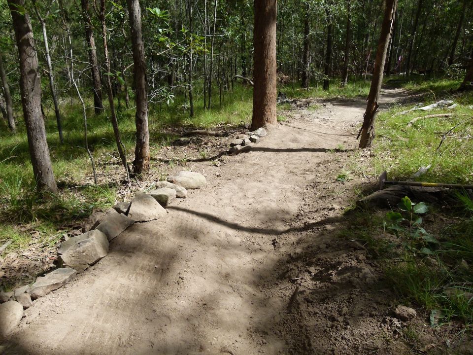 P1160491.jpg