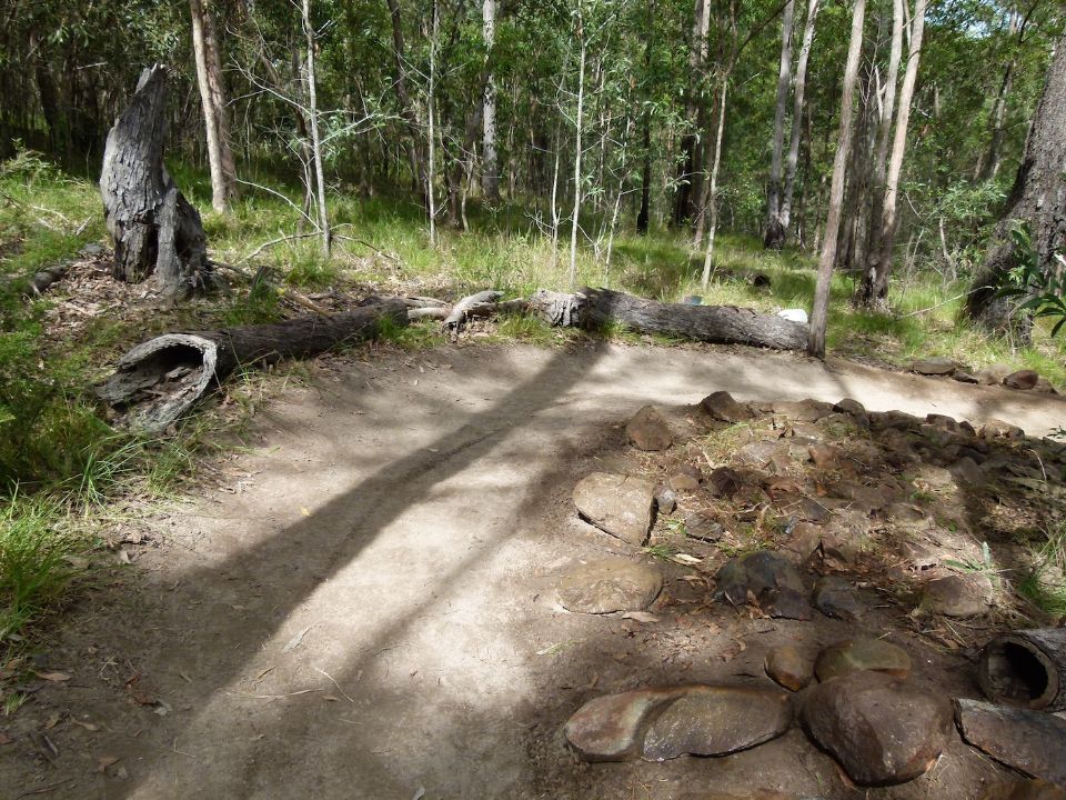 P1160500.jpg