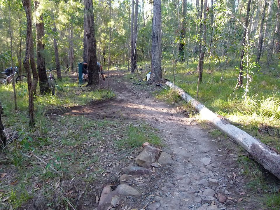 P1160513.jpg