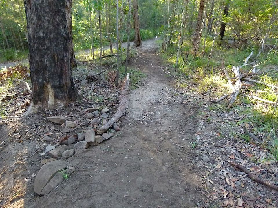 P1160517.jpg