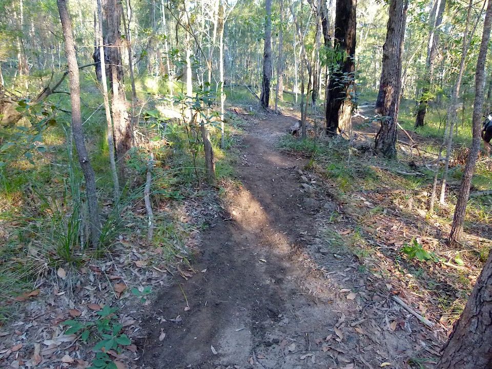 P1160519.jpg