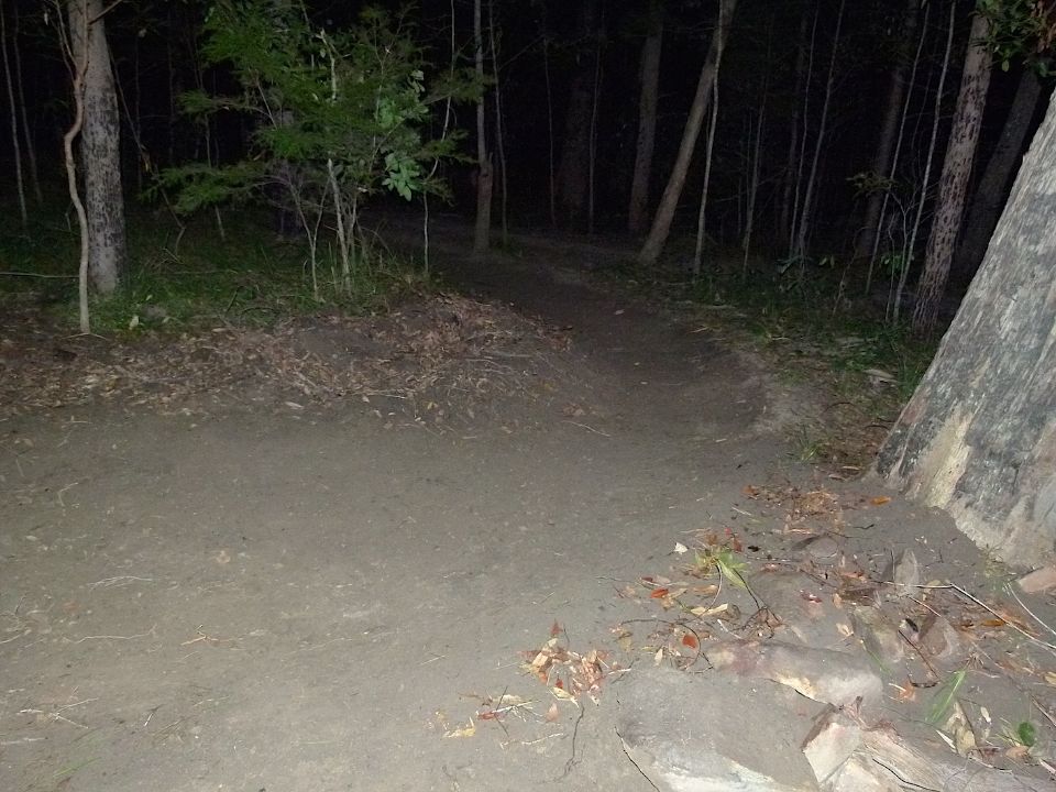 P1160527.jpg