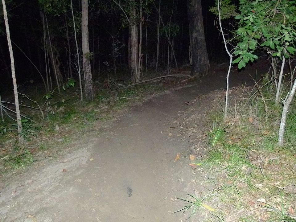 P1160529.jpg
